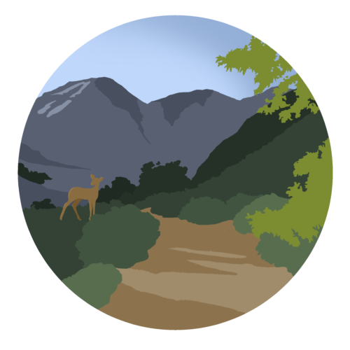 Virtual Hike Henninger Flats APIFM